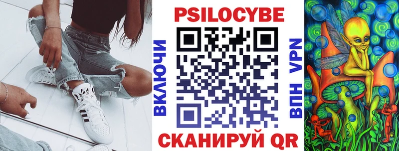 Псилоцибиновые грибы Psilocybine cubensis Хотьково